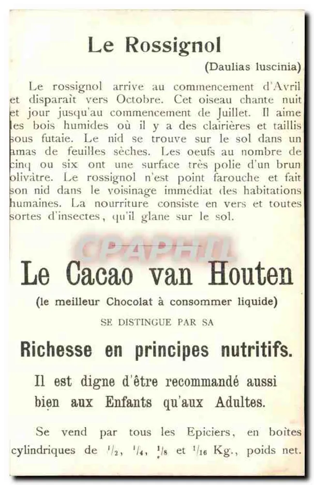 Rossignol — oiseau dans son nid — éditeur Van Houten - Verso