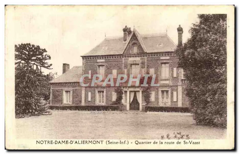 Notre-Dame-d'Aliermont (Seine-Inf.) — Quartier de la route de St-Vaast — éditeur impr. sur la carte - Vorderseite