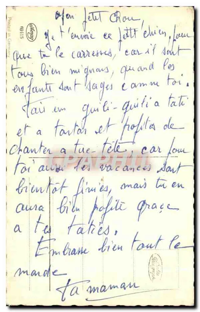 Chiot de race Fox Terrier — photo studio — éditeur 'Syngy' n° (8)115 - Verso