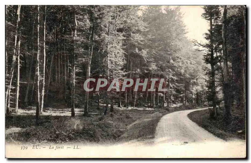 A floresta — Forêt — LL. — Editor LL. n° 379 - Frente