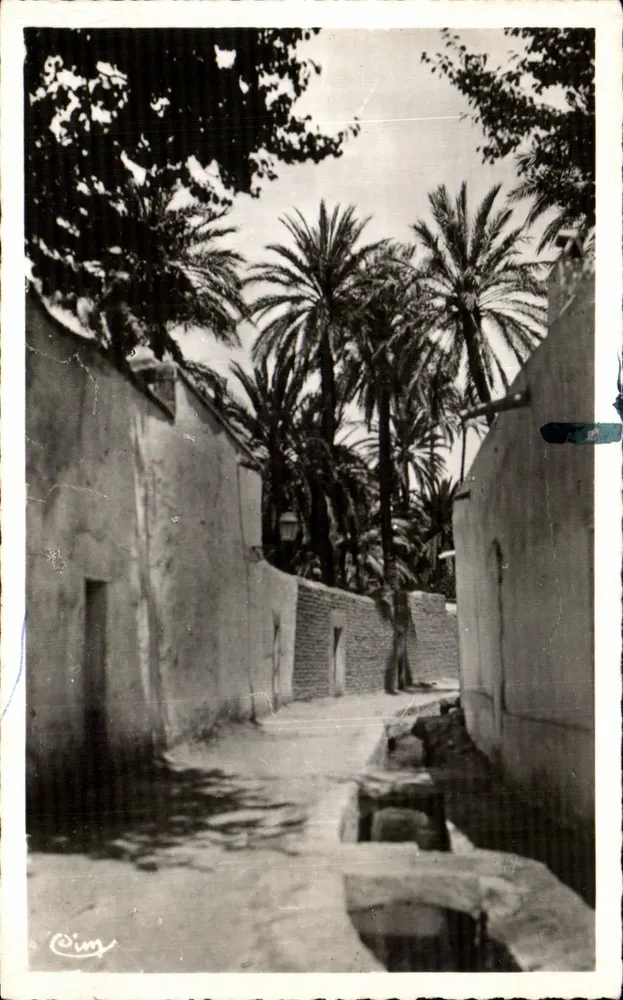 Laghouat (Süd Algerien) — Eine Straße in der Grande Ségoua — GIM - Vorderseite