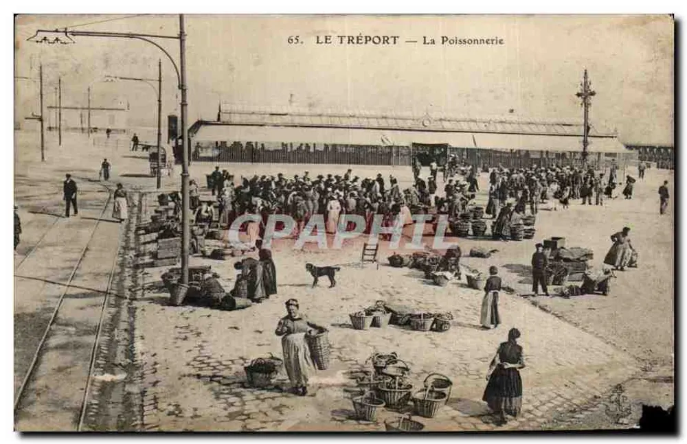 Le Tréport — La Poissonnerie — éditeur Le Tréport, n° 65 - Frente
