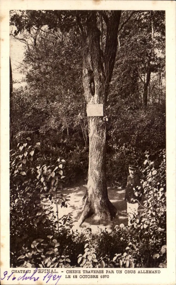 Château d'Épinal — Eiche getroffen von einer deutschen Granate — Edition J. Armand, Épinal - Vorderseite