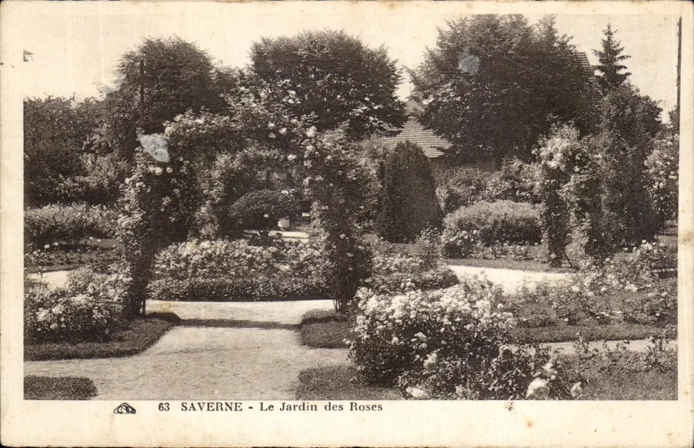 SAVERNE - O Jardim das Rosas — editor Calzaciennelle, n° 63 - Frente