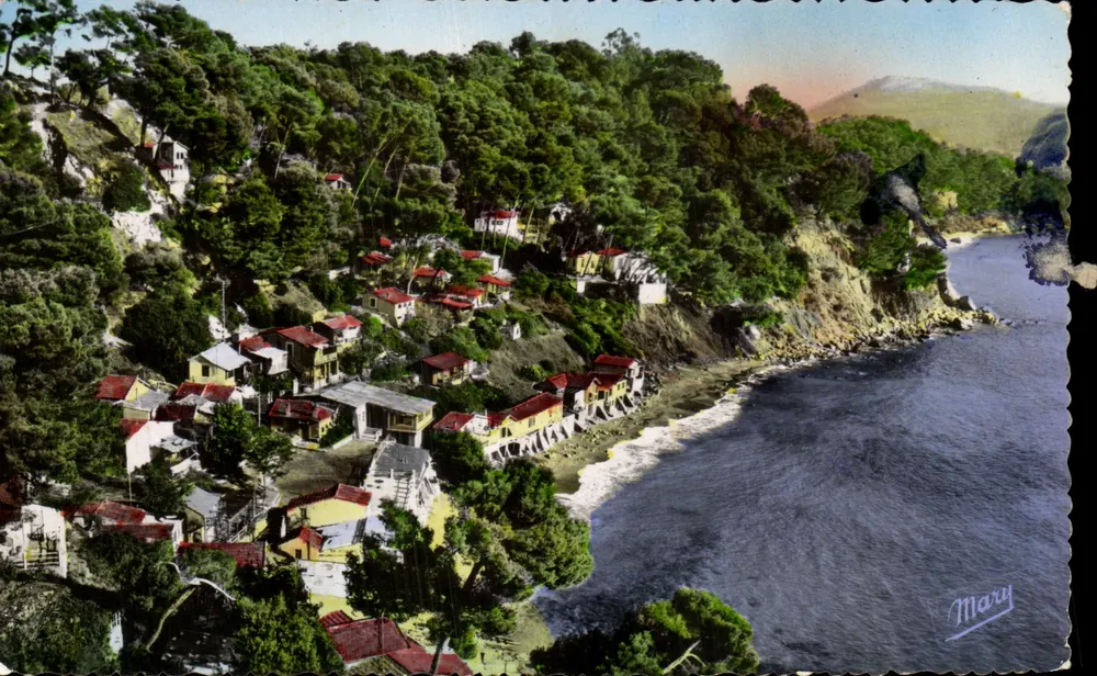 Le Pin de Gales — A Côte Varoise — Éditions Photo Broffère, Taddon - Frente