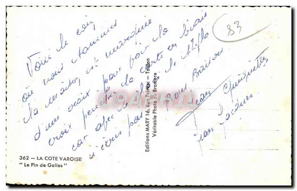Le Pin de Gales — A Côte Varoise — Éditions Photo Broffère, Taddon - Verso