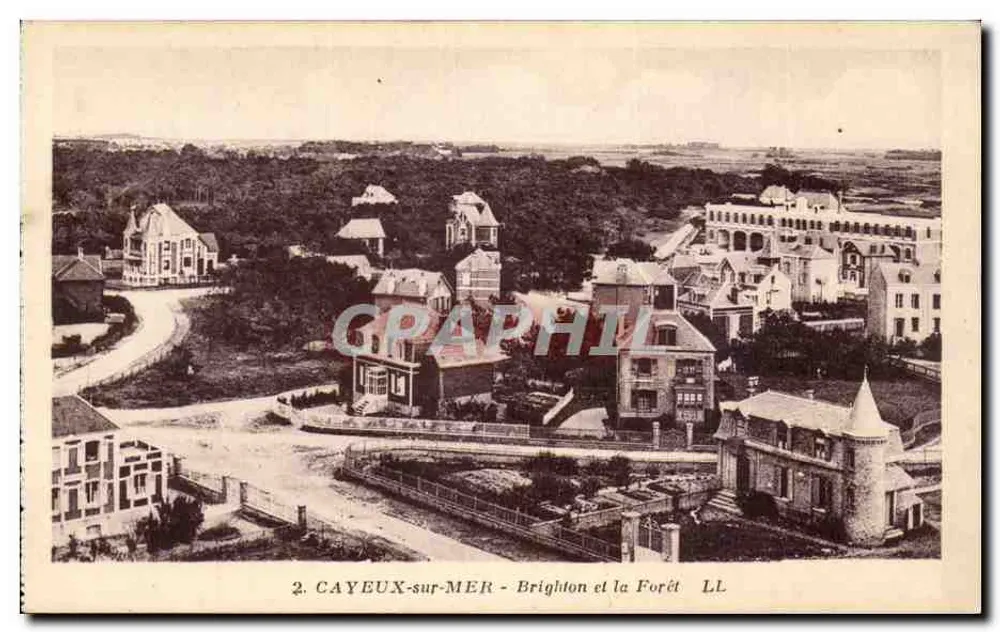 CAYEUX-sur-MER - Brighton e a Floresta - LL - Frente