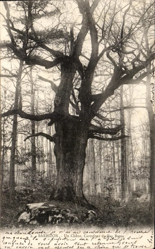 Barbizon — Un Roble, Cruce del Bas Breau — André B. - Anverso