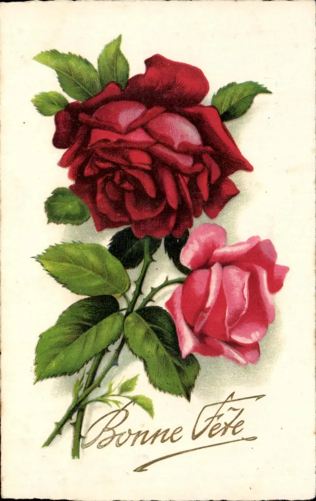 Zwei Rosen — eine rot, eine Rose — mit Text 'Bonne Fête' — W. & E. 3175 - Vorderseite