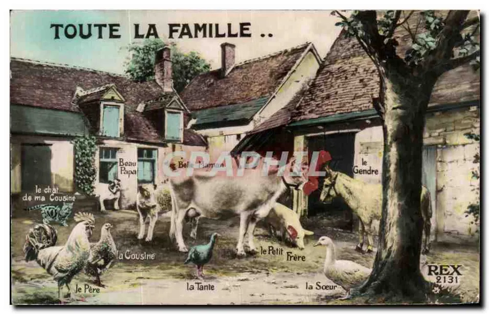 Die ganze Familie ... — Haustiere — REX 2131 - Vorderseite