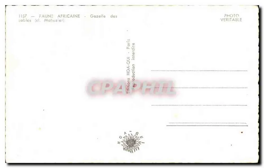 Gazelle dos desertos — Edições HOA-QUI — n° 1157 - Verso