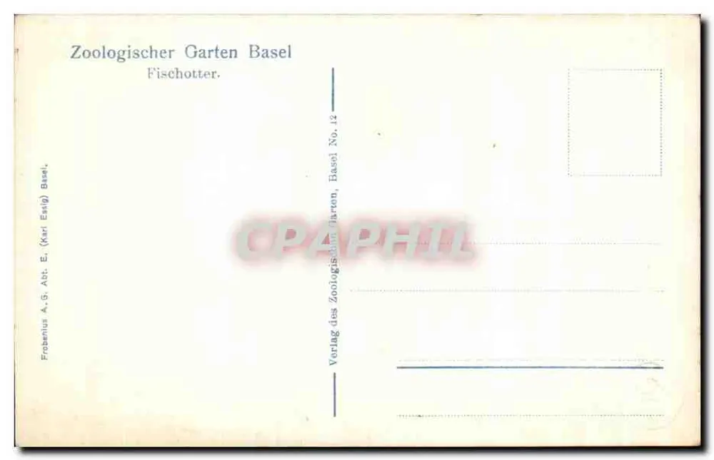 Zwei Seehunde auf Felsen — Zoologischer Garten Basel — Verlag Fröbenius A.G. (Karl Essig), Nr. 12 - Rückseite
