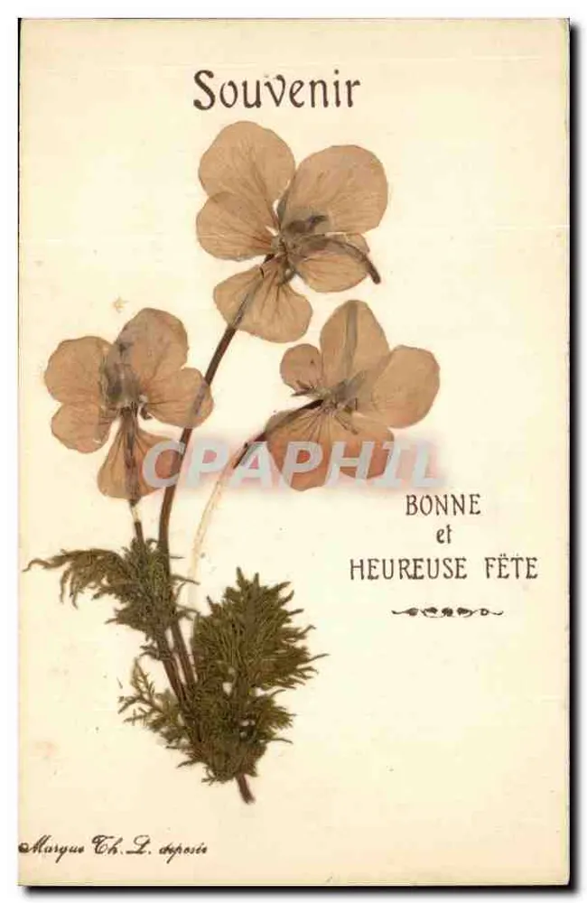 Flores secas — Lembrete — Marca Ch. L. depositada - Frente