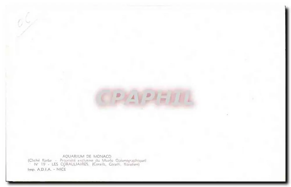 Aquário de Mônaco — Coralliaires — Imp. A.D.J.A. - Nice, N° 19 - Verso