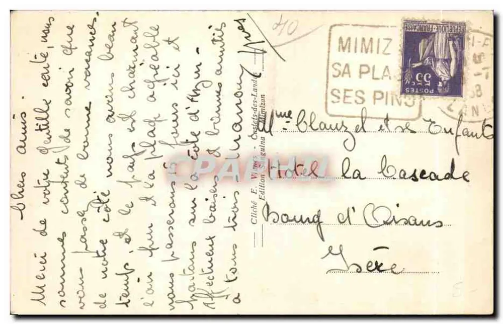 Mimizan-la-Forêt (Landes) — Sosny — Wydawnictwo Sallagana - Rewers