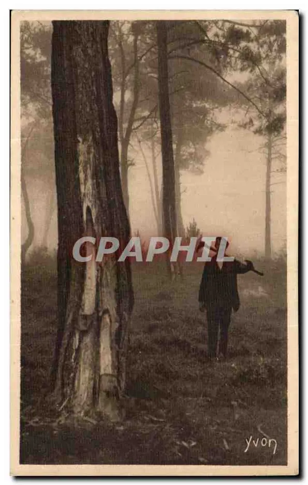 Floresta nebulosa — homem vestido caminhando — Yvon, n°15 - Frente