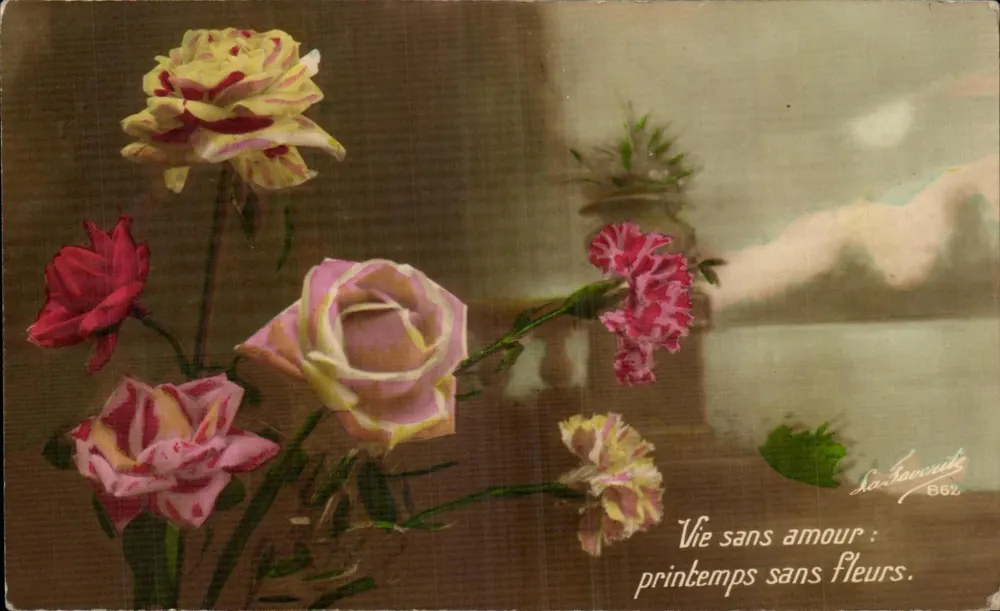 Blüten — Rosen und Mohnblumen — La Favorite 862 - Vorderseite