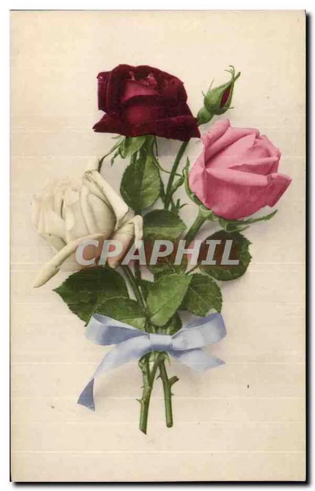 Arranjo de rosas — vermelha, rosa e branca — editor Martin Rommel & Co. n° 618 - Frente