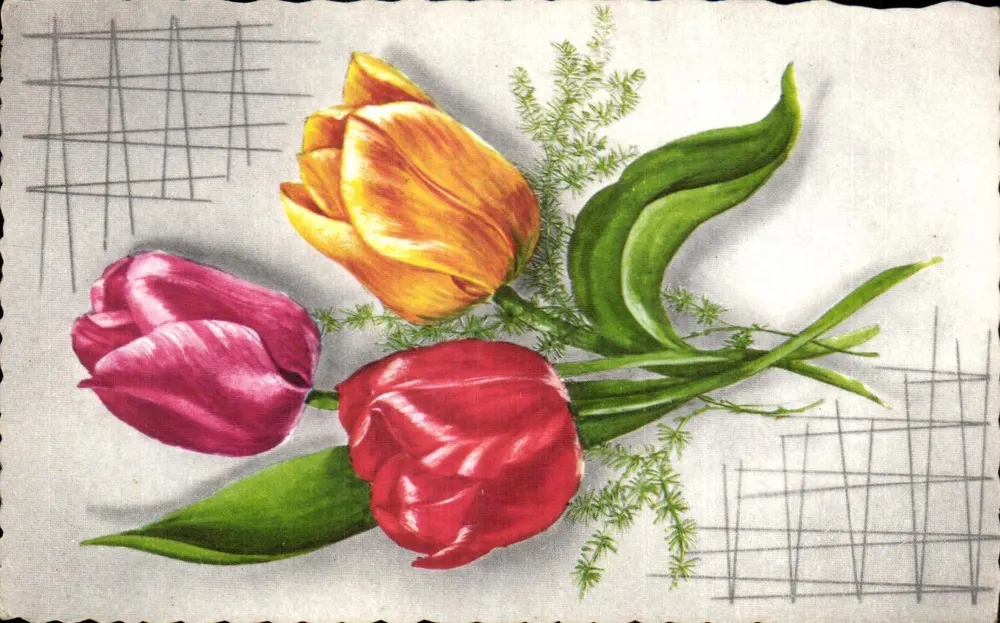 Tulpenbouquet — farbige Illustration — Verlag nicht sichtbar - Vorderseite