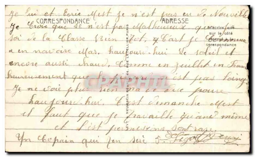 Taza (Marokko) — Blick durch die Olivenbäume — LL, n°65 - Rückseite