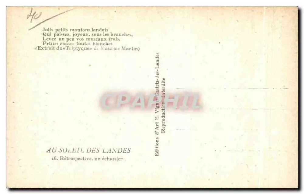 Landais-Schafe — Im Sonnenlicht der Landes — Éditions d'Art E. Vignac-Les-Landes - Rückseite