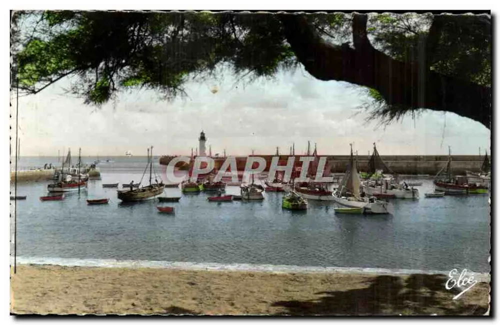 Hafen von La Cotinière — Île d'Oleron — Verlag L. Chatacneau, Nr. 8723 - Vorderseite