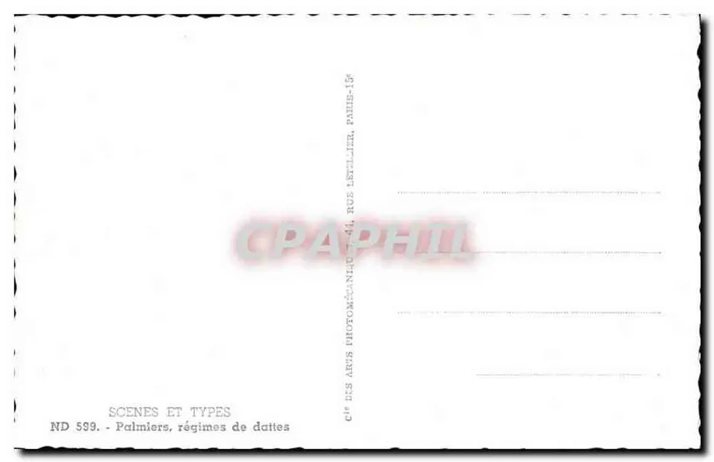 Palmen, dadelpalmen — Scènes en Types, ND 599 — Uitgever: Cie des Arts Photographiques, Parijs 15e - Achterkant