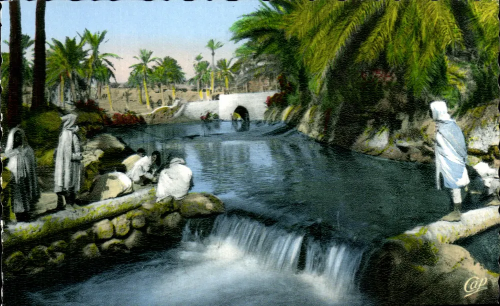 Lavadeiras no oued — Série LL 6072 — C° Les Arts Photographiques, Paris - Frente