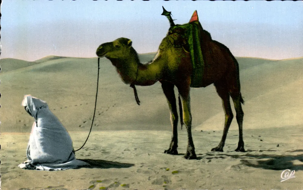 A Oração no deserto — Cenas e Tipos — Cie des Arts Photographiques, Paris - Frente
