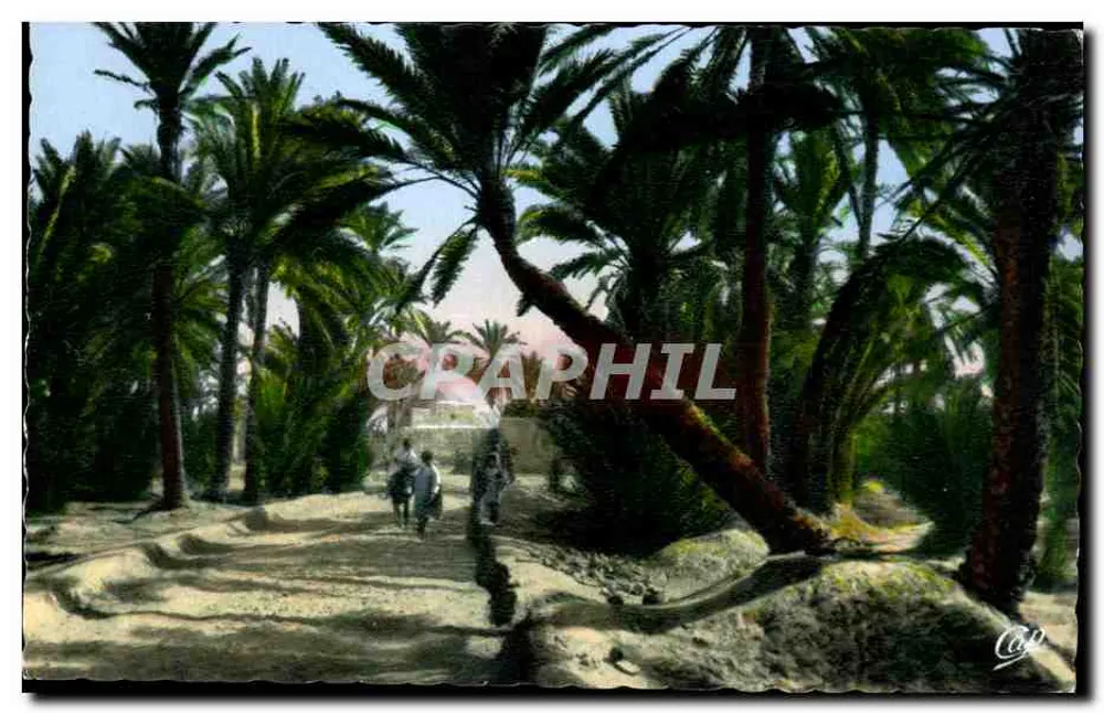 Caminho na Palmeraie — Editor C.° dos Arts Photomécaniques, Paris - Frente