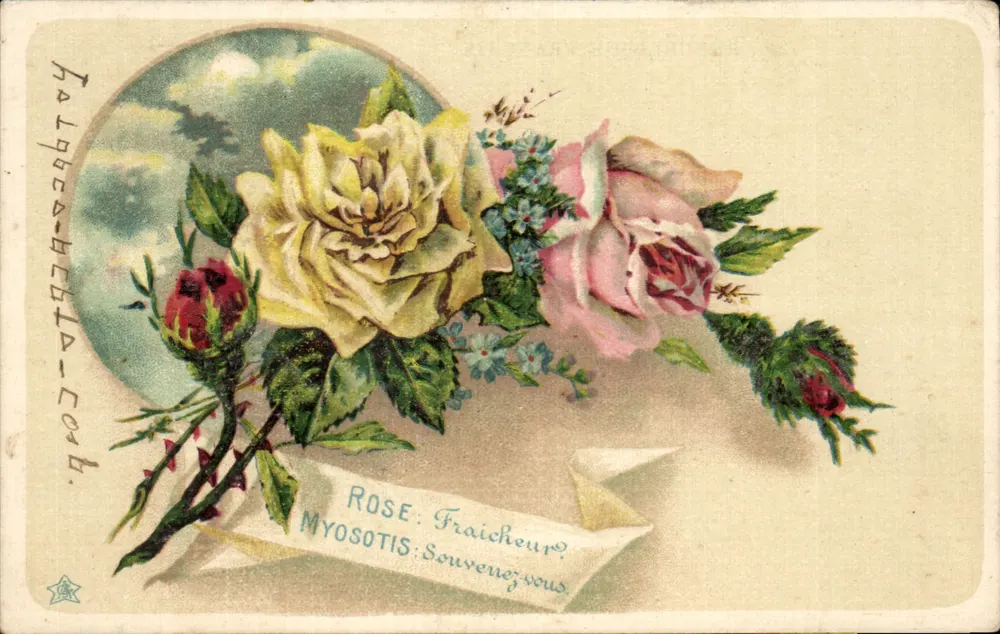 Blüten — Rosen und Myosotis — unbekannter Verlag, Seriennummer nicht sichtbar - Vorderseite