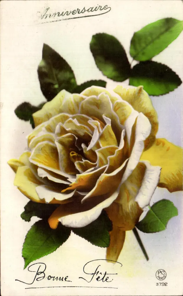Gelbe Rose — Geburtstag — PC PARIS 3792 - Vorderseite