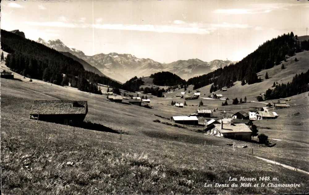 Les Mosses 1448 m. — Les Dents du Midi et le Chamossaire — Photo-Édition A. DERIAZ, Baume-les-Dames - Frente