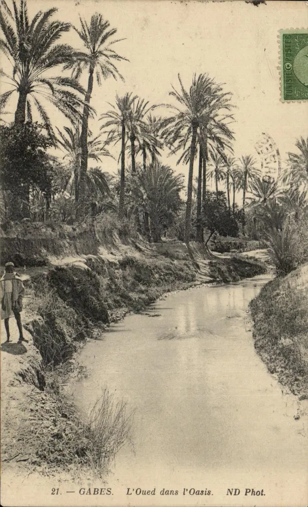 GABES — El Oued en la Oasis — ND Phot. - Anverso