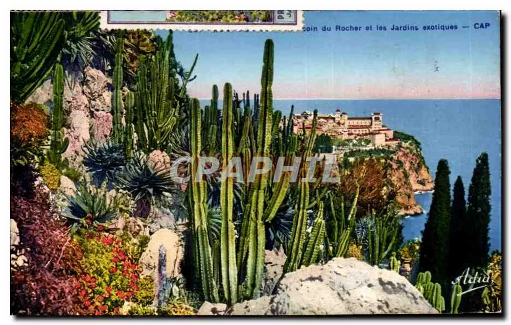Coin du Rocher y los Jardines Exóticos — CAP — Aldid - Anverso