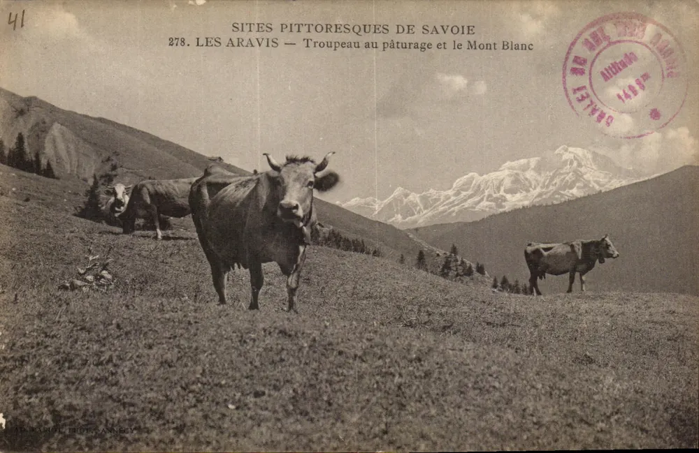 Les Aravis — Herde beim Weiden und der Mont Blanc — pittoreske Orte der Savoie, n°278 - Vorderseite