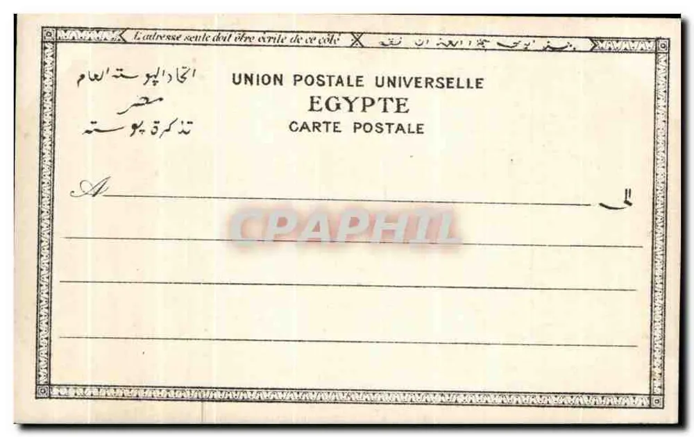 Bedouine — portret półtora — Reiser - Rewers