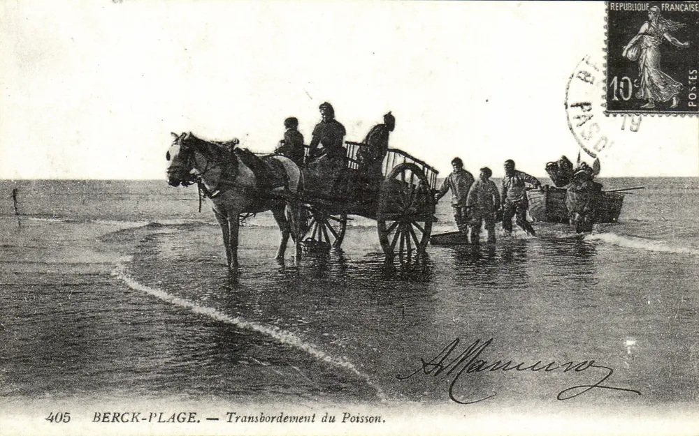 Berck-Plage — Transbordo do Peixe — A. Maminov - Frente