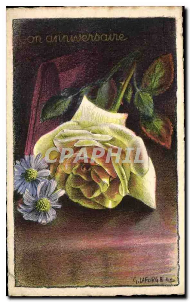 Rose et marguerites — composition florale — G. Laforge, n° 42 - Vorderseite