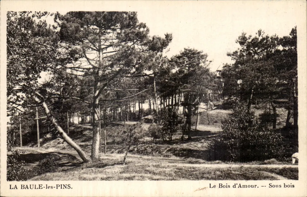 La Baule-les-Pins — Der Wald der Liebe — Unterholz - Vorderseite