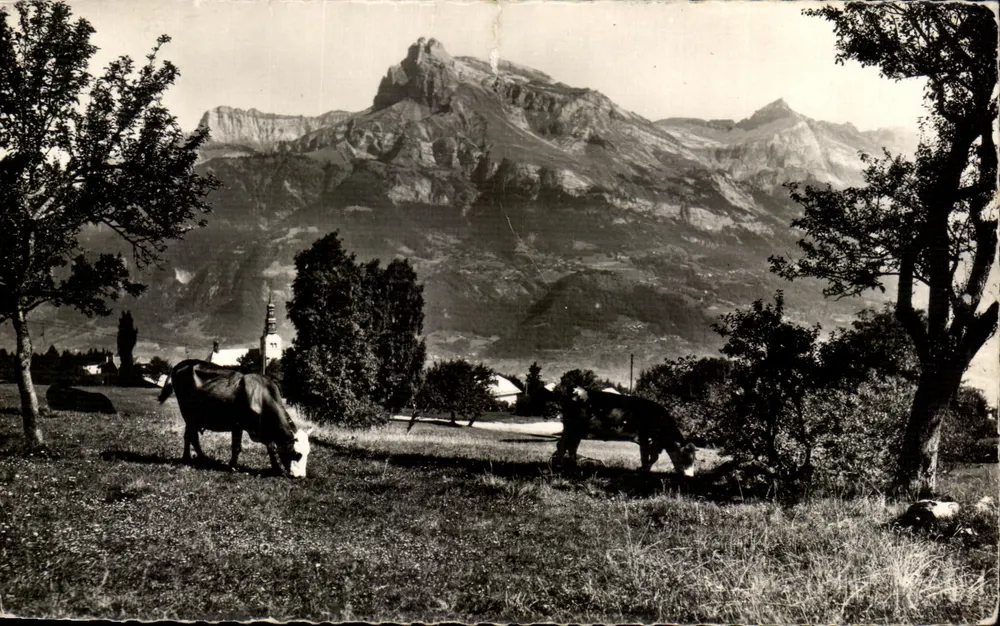 Combloux (Haute-Savoie) — vue sur les Aiguilles de Warens — éditeur Les Éditions J. FELLARD - Frente