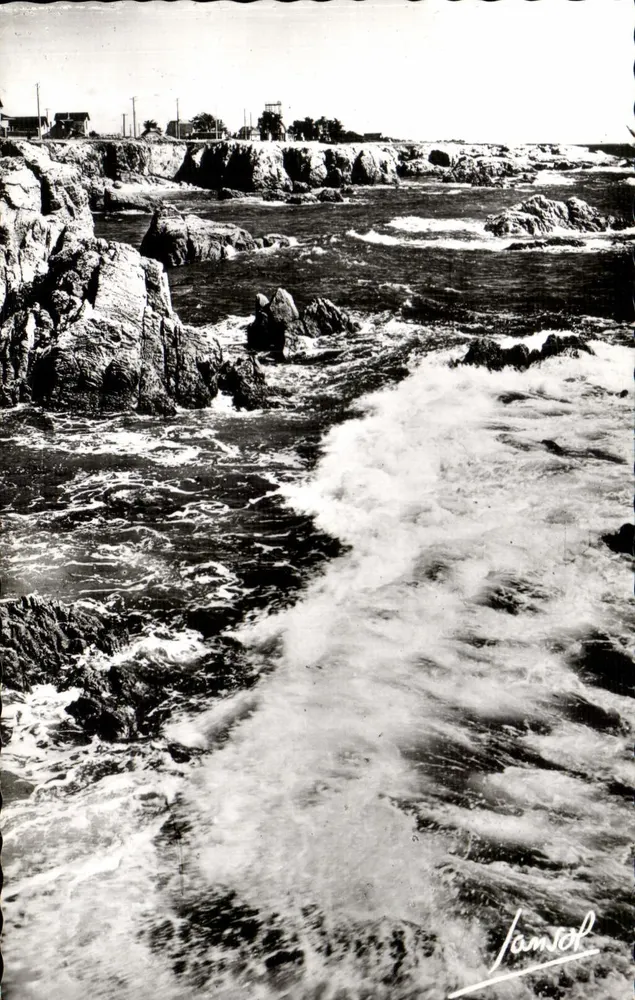 La Grande Côte — Loire-Atlantique — JANSOL (Savars) - Frente