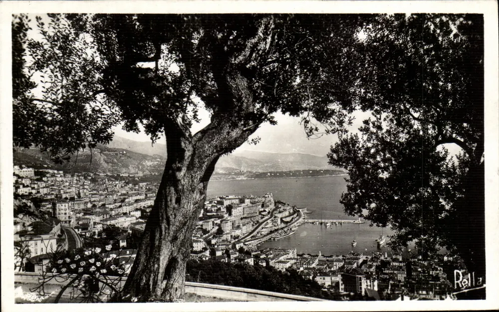 Monte-Carlo — Blick durch die Olivenbäume — Cliché Rella - Vorderseite