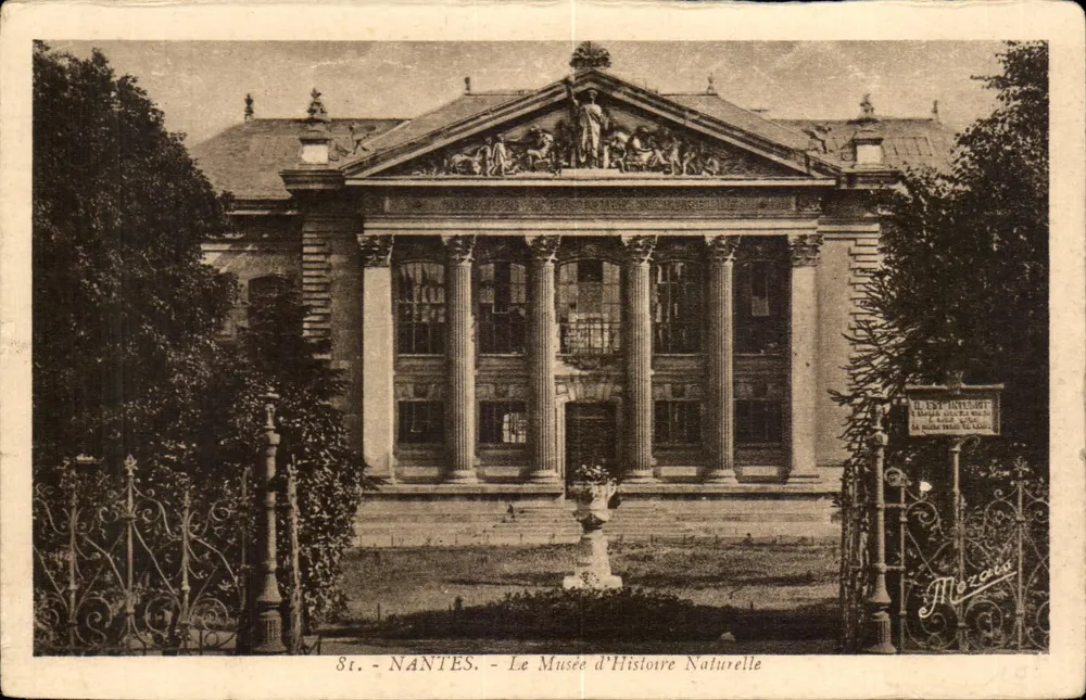 NANTES - Vista del Museo de Historia Natural — editor Mozet, n°81 - Anverso