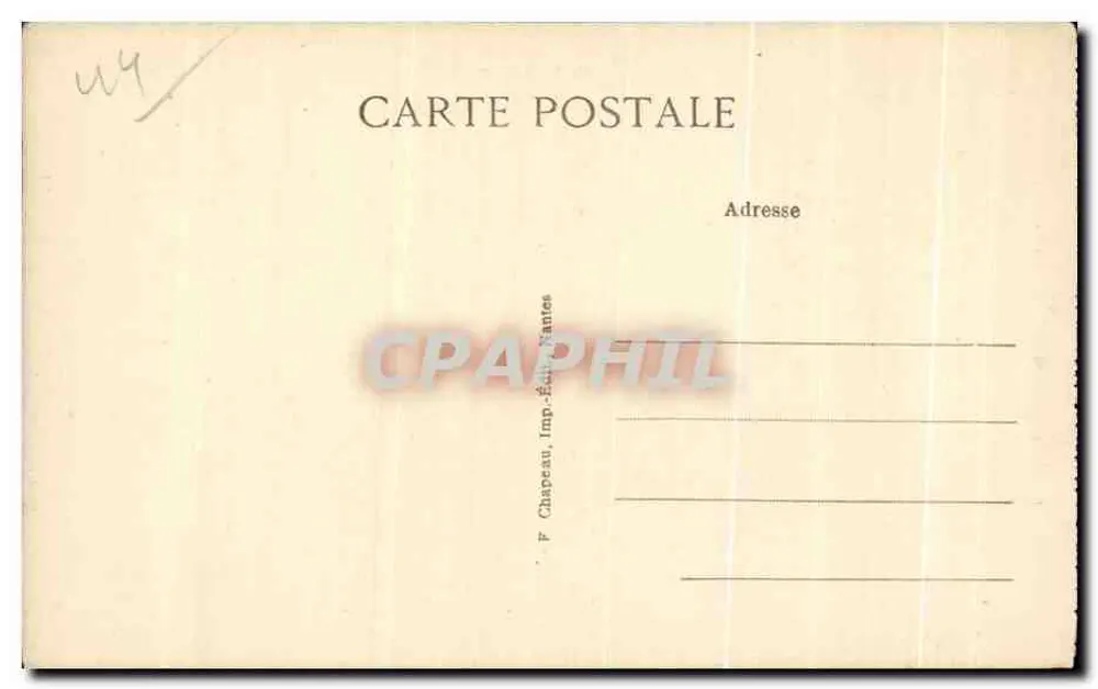 PORNICHET (Loire-Inf.) — Im Pinienwald der Liebe, Die Pinien — Serie 168 - Rückseite