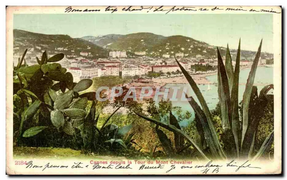 Cannes von der Tour du Mont Chevalier — Panoramablick — unbekannter Verlag, Nr. 2184 - Vorderseite