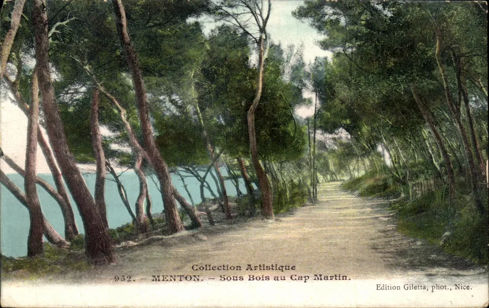 Menton — Sob Bois no Cabo Martin — Edição Giletta, fotografia, Nice, n°932 - Frente