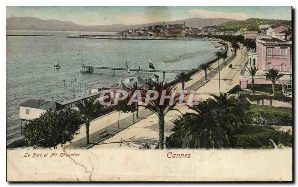 Le Port et Mt. Chevalier — vue panoramique de Cannes avec quai, bateaux et palmeraie — éditeur non visible - Frente