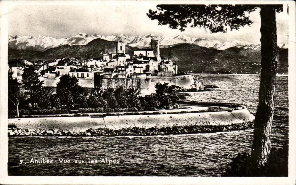 Antibes — Vue sur les Alpes — éditeur impr. sur la carte n°7 - Frente