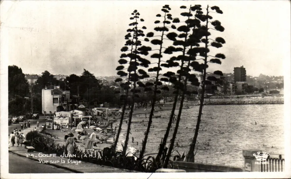 Golfe Juan — Vue sur la Plage — Éditions D'Art Munier, n°24 - Frente